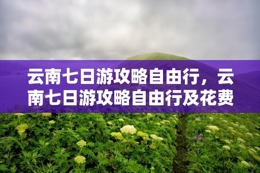 云南七日游攻略自由行，云南七日游攻略自由行及花费