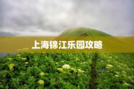 上海锦江乐园攻略