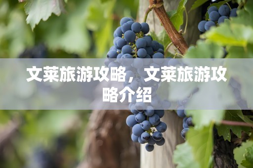 文莱旅游攻略，文莱旅游攻略介绍