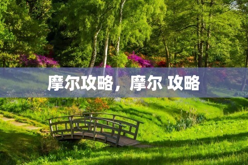 摩尔攻略，摩尔 攻略