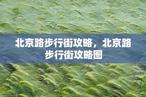 北京路步行街攻略，北京路步行街攻略图