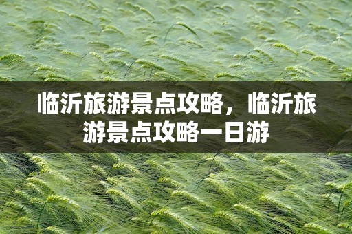 临沂旅游景点攻略，临沂旅游景点攻略一日游
