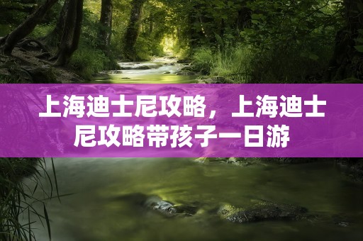 上海迪士尼攻略，上海迪士尼攻略带孩子一日游