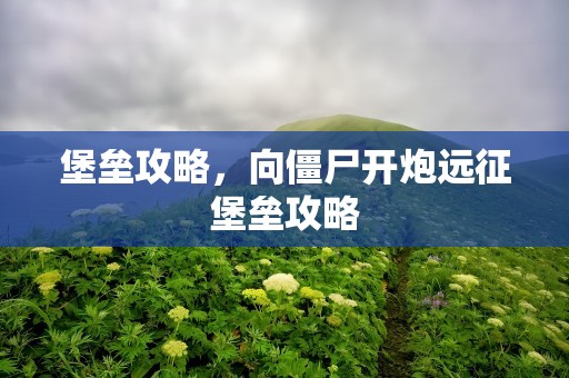 堡垒攻略，向僵尸开炮远征堡垒攻略