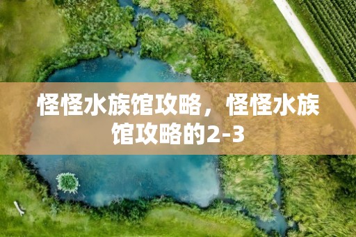 怪怪水族馆攻略，怪怪水族馆攻略的2-3