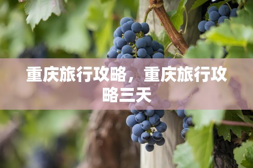 重庆旅行攻略，重庆旅行攻略三天