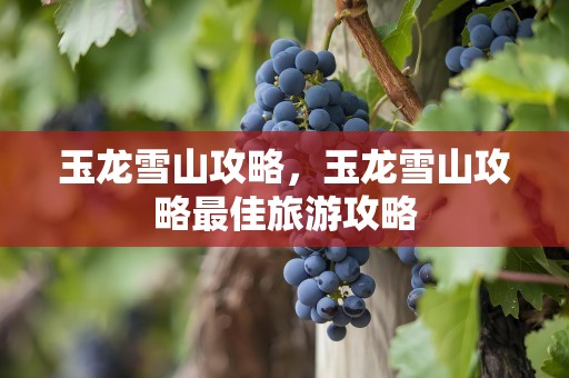 玉龙雪山攻略，玉龙雪山攻略最佳旅游攻略