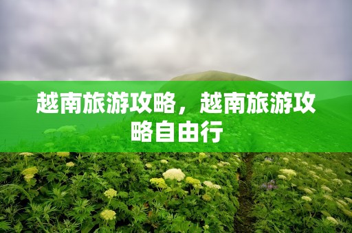 越南旅游攻略，越南旅游攻略自由行