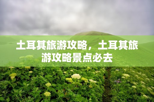 土耳其旅游攻略，土耳其旅游攻略景点必去