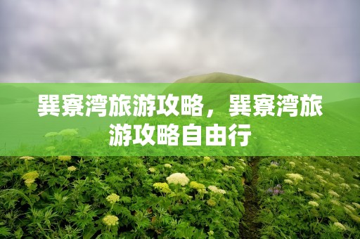 巽寮湾旅游攻略，巽寮湾旅游攻略自由行