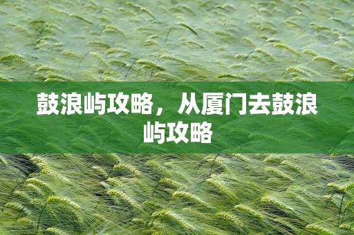 鼓浪屿攻略，从厦门去鼓浪屿攻略