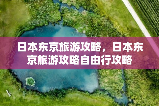 日本东京旅游攻略，日本东京旅游攻略自由行攻略