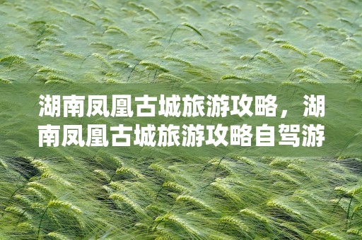 湖南凤凰古城旅游攻略，湖南凤凰古城旅游攻略自驾游