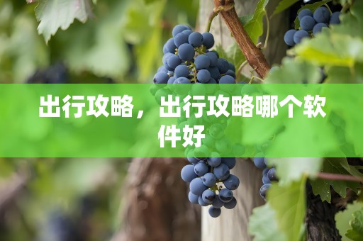 出行攻略，出行攻略哪个软件好