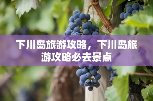下川岛旅游攻略，下川岛旅游攻略必去景点