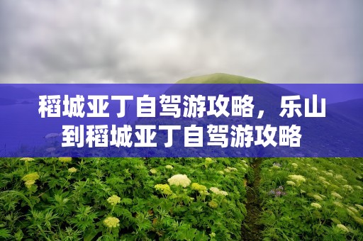 稻城亚丁自驾游攻略，乐山到稻城亚丁自驾游攻略