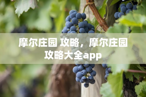 摩尔庄园 攻略，摩尔庄园攻略大全app
