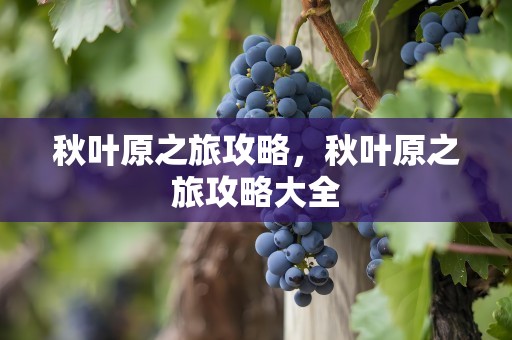 秋叶原之旅攻略，秋叶原之旅攻略大全