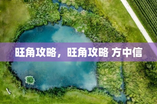 旺角攻略，旺角攻略 方中信