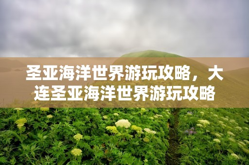 圣亚海洋世界游玩攻略，大连圣亚海洋世界游玩攻略