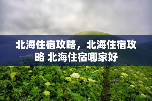 北海住宿攻略，北海住宿攻略 北海住宿哪家好