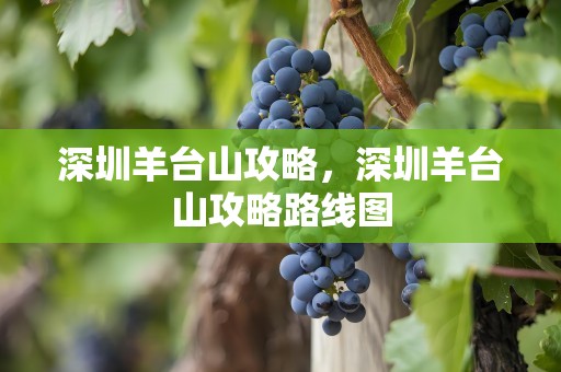 深圳羊台山攻略，深圳羊台山攻略路线图