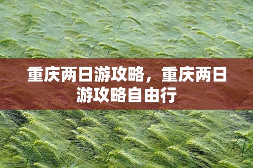重庆两日游攻略，重庆两日游攻略自由行