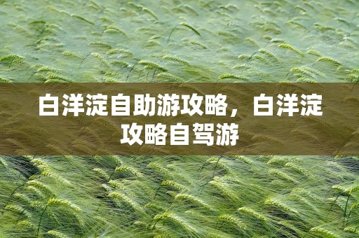 白洋淀自助游攻略，白洋淀攻略自驾游