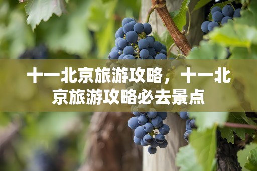 十一北京旅游攻略，十一北京旅游攻略必去景点