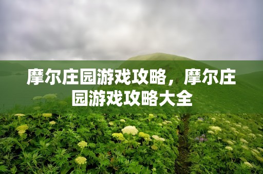 摩尔庄园游戏攻略，摩尔庄园游戏攻略大全
