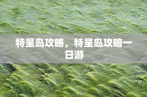 特呈岛攻略，特呈岛攻略一日游