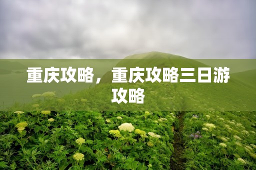 重庆攻略，重庆攻略三日游攻略