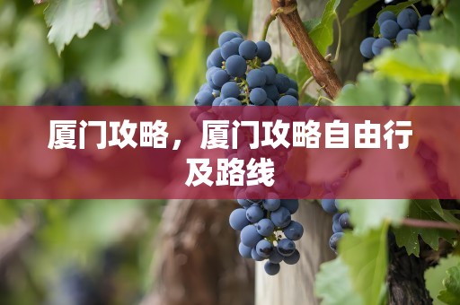 厦门攻略，厦门攻略自由行及路线
