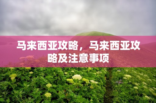 马来西亚攻略，马来西亚攻略及注意事项