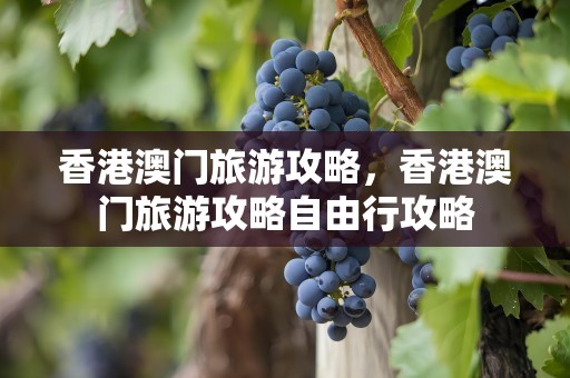 香港澳门旅游攻略，香港澳门旅游攻略自由行攻略