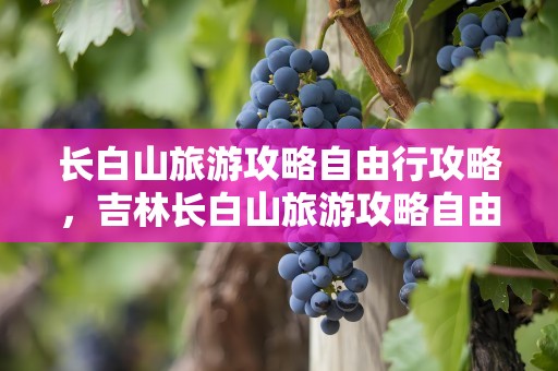 长白山旅游攻略自由行攻略，吉林长白山旅游攻略自由行攻略