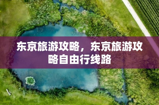 东京旅游攻略，东京旅游攻略自由行线路