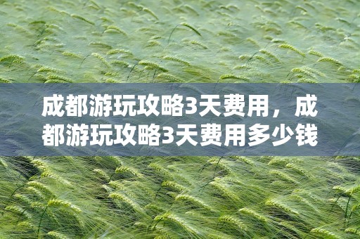 成都游玩攻略3天费用，成都游玩攻略3天费用多少钱