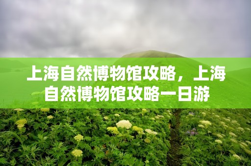 上海自然博物馆攻略，上海自然博物馆攻略一日游