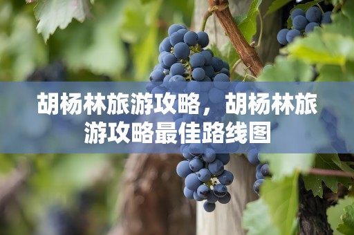 胡杨林旅游攻略，胡杨林旅游攻略最佳路线图