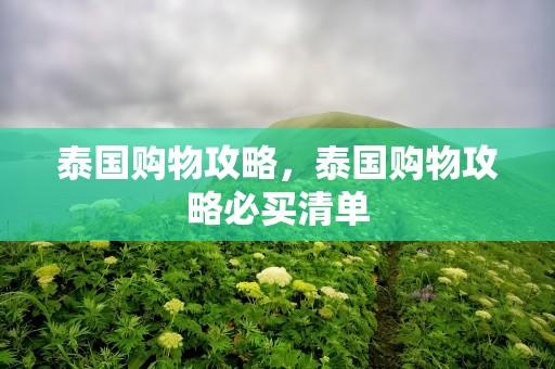 泰国购物攻略，泰国购物攻略必买清单