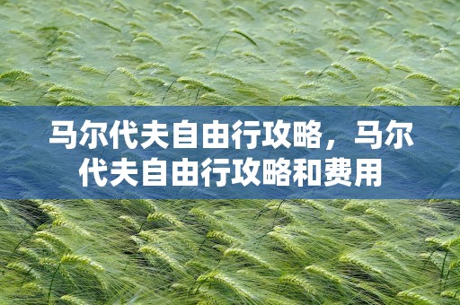 马尔代夫自由行攻略，马尔代夫自由行攻略和费用