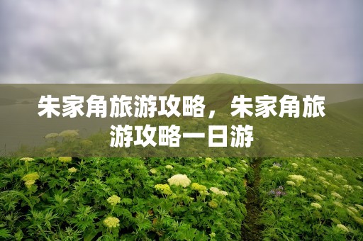 朱家角旅游攻略，朱家角旅游攻略一日游