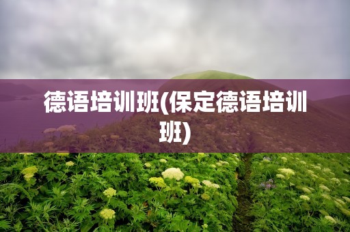 德语培训班(保定德语培训班)