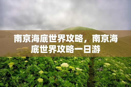 南京海底世界攻略，南京海底世界攻略一日游