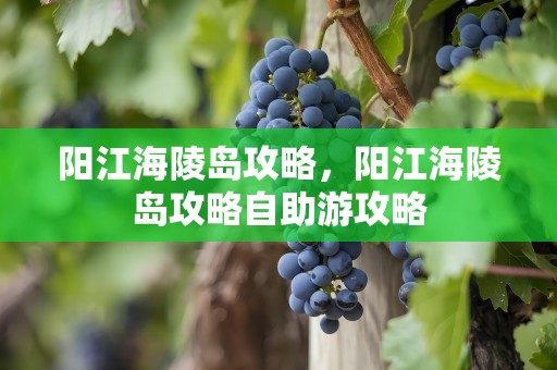 阳江海陵岛攻略，阳江海陵岛攻略自助游攻略