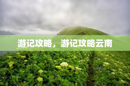 游记攻略，游记攻略云南