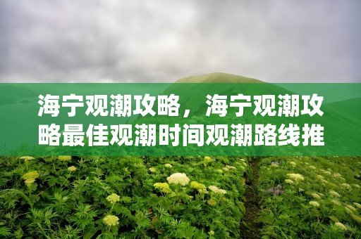 海宁观潮攻略，海宁观潮攻略最佳观潮时间观潮路线推荐
