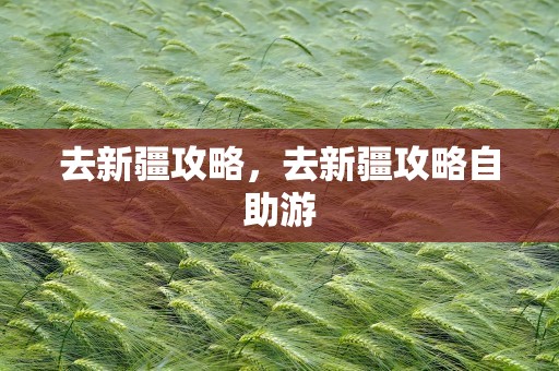 去新疆攻略，去新疆攻略自助游