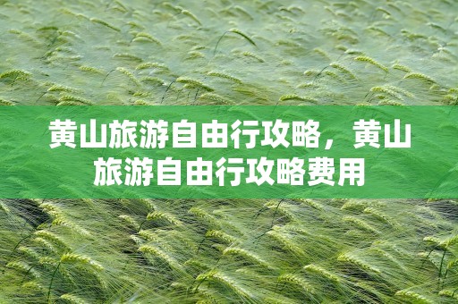 黄山旅游自由行攻略，黄山旅游自由行攻略费用